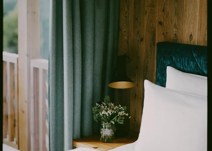 酒店 Fraeulein Leni 甘利特茨